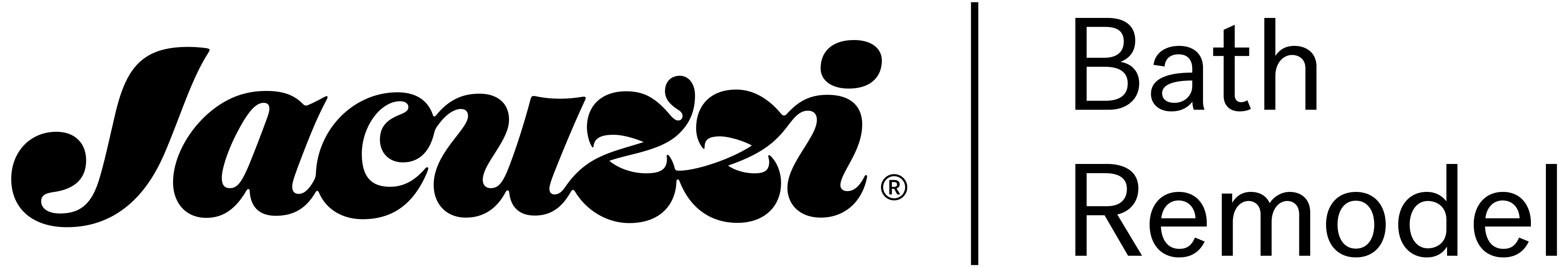 Jacuzzi Bath Remodel logo
